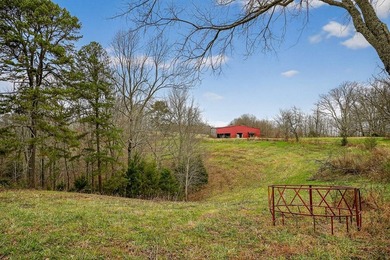 This century farm features a mix of open and wooded acreage with - photo 43