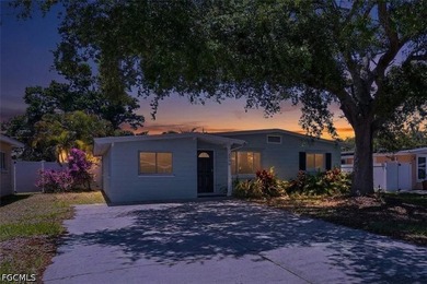 This lovely Saint Petersburg home is centrally located with easy - photo 44