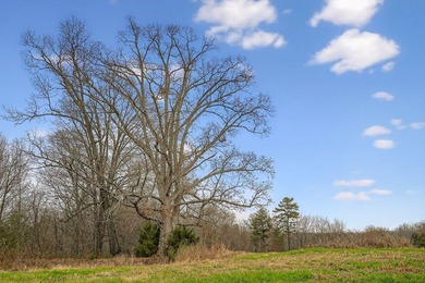 This century farm features a mix of open and wooded acreage with - photo 44