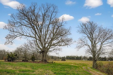 This century farm features a mix of open and wooded acreage with - photo 45