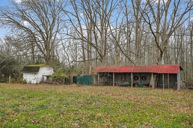 This century farm features a mix of open and wooded acreage with - photo 48