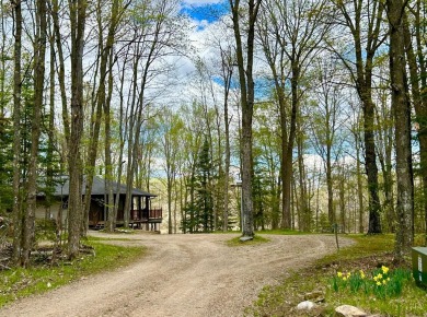Lake Home For Sale in Crandon, Wisconsin