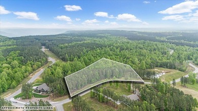 (private lake, pond, creek) Acreage For Sale in Jasper Tennessee