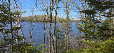 Lake Acreage Sale Pending in Presque Isle, Wisconsin