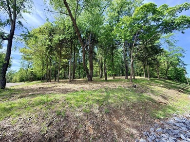 The current owner has done a spectacular job of clearing out the - photo 16