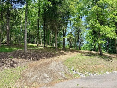 The current owner has done a spectacular job of clearing out the - photo 17