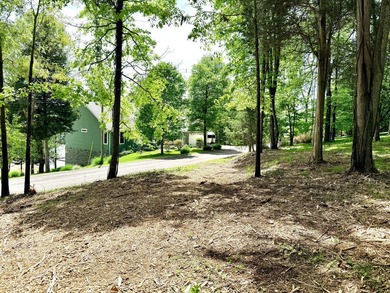The current owner has done a spectacular job of clearing out the - photo 18
