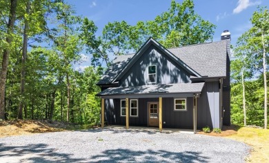 Lake Home For Sale in Ranger, Georgia