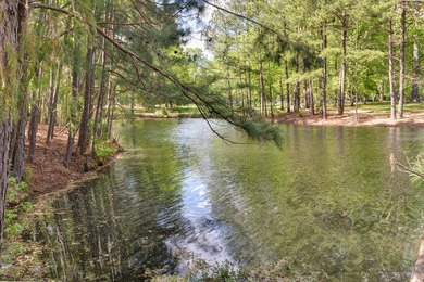 An exquisite home nestled on a double homesite bordering a - photo 50
