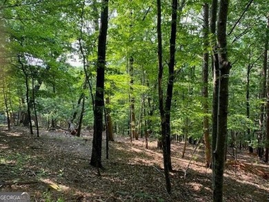 Lake Petit Lot For Sale in Big Canoe Georgia