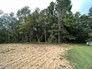 (private lake, pond, creek) Acreage For Sale in Poplar Branch North Carolina