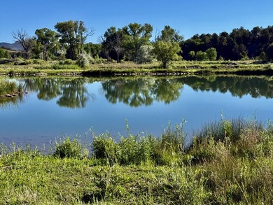 Welcome to the Rockin N River Ranch, this absolutely one of a - photo 7