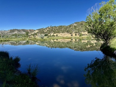Welcome to the Rockin N River Ranch, this absolutely one of a - photo 10