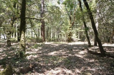 (private lake, pond, coastal) Acreage For Sale in Hawkins Bar California