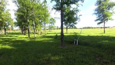 Waterfront land in private gated community - photo 8