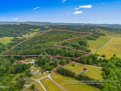 73 acres of fields and forest offering the freedom to build - photo 1