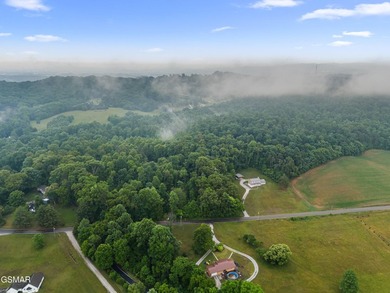 73 acres of fields and forest offering the freedom to build - photo 2