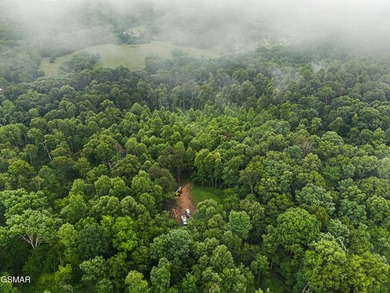 73 acres of fields and forest offering the freedom to build - photo 3