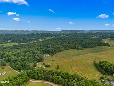 73 acres of fields and forest offering the freedom to build - photo 5