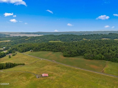 73 acres of fields and forest offering the freedom to build - photo 6