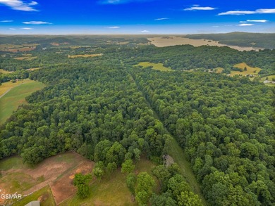 73 acres of fields and forest offering the freedom to build - photo 7
