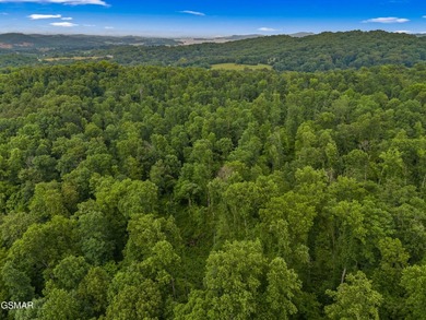 73 acres of fields and forest offering the freedom to build - photo 8
