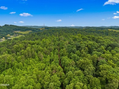 73 acres of fields and forest offering the freedom to build - photo 9