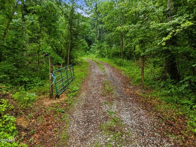 73 acres of fields and forest offering the freedom to build - photo 10