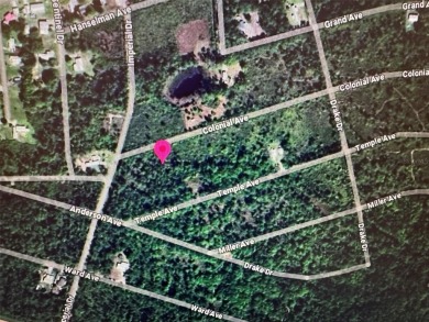Crescent Lake - Putnam County Lot For Sale in Crescent City Florida
