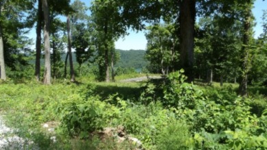 0.93 AC YEAR AROUND DALE HOLLOW LAKE VIEW - photo 4