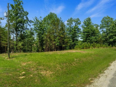Smith Lake - Lot 88 Sipsey Overlook is tucked away on the - photo 11