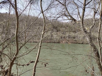 A rare opportunity awaits in a prestigious subdivision offering - photo 4