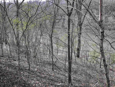 A rare opportunity awaits in a prestigious subdivision offering - photo 8