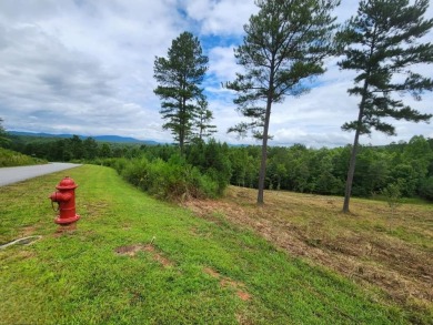 Lake Lot For Sale in Blairsville, Georgia