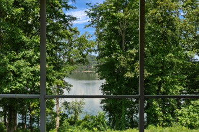 Waterfront Living With Incredible Lake Views - photo 11