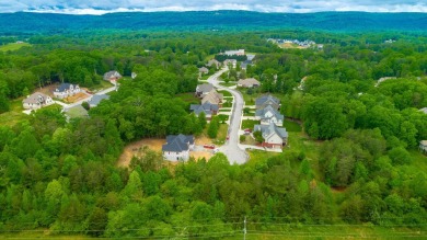 Lake Lot For Sale in Soddy Daisy, Tennessee