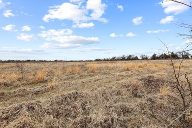 Hard to find larger tract in Pottsboro take a look around and - photo 14