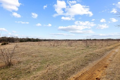 Hard to find larger tract in Pottsboro take a look around and - photo 17