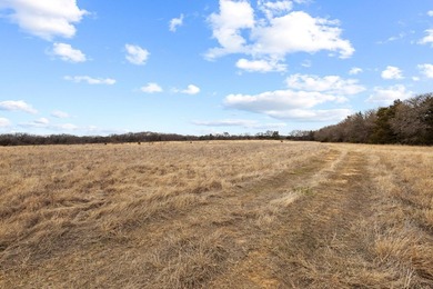 Hard to find larger tract in Pottsboro take a look around and - photo 23