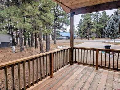 Deborah Kerns, Team Pagosa Realty Group, C:,,: Come see this New - photo 31