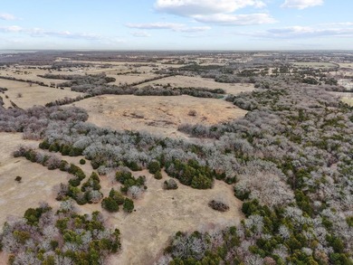 Hard to find larger tract in Pottsboro take a look around and - photo 31