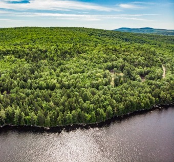 Lake Acreage SOLD! in Holden, Maine