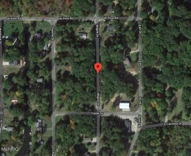 Townline Lake - Montcalm County Lot For Sale in Lakeview Michigan
