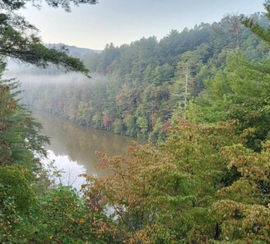 Lake Acreage For Sale in Hayesville, North Carolina