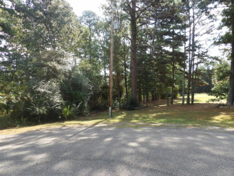 Lake Ludwig Lot For Sale in Clarksville Arkansas
