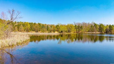 Discover a rare opportunity to own a versatile 60-acre property - photo 3