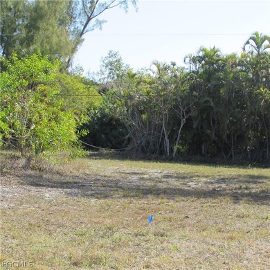 CAPTAIN'S COVE homesite in Bokeelia. Boating subdivision without - photo 5