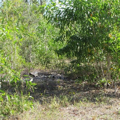 CAPTAIN'S COVE homesite in Bokeelia. Boating subdivision without - photo 6