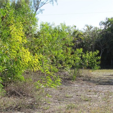CAPTAIN'S COVE homesite in Bokeelia. Boating subdivision without - photo 7