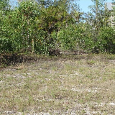 CAPTAIN'S COVE homesite in Bokeelia. Boating subdivision without - photo 8